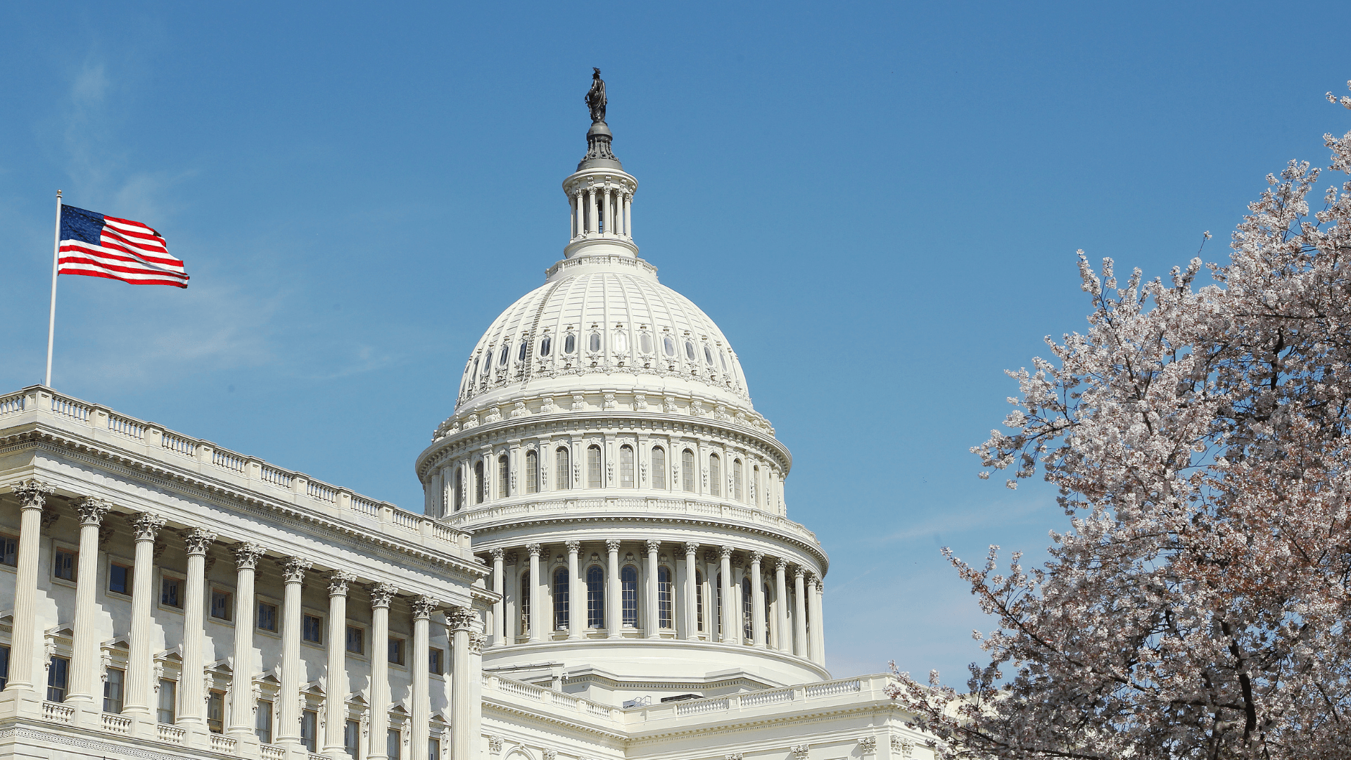 Barriers, Best Practices, and Policy Solutions: NCCN Cancer Screening and Prevention Summit
