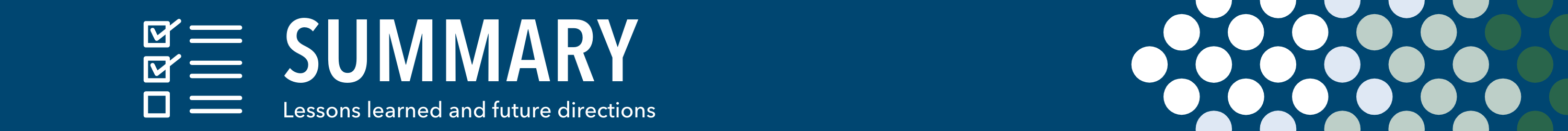 Summary: lessons learned and future directions