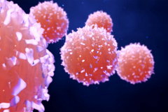 Cancer cells