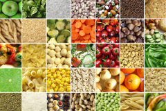 Food Collage
