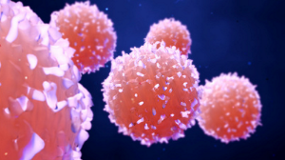 Cancer cells
