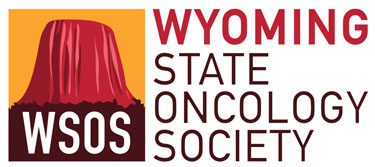 WSOS-logo-375x167