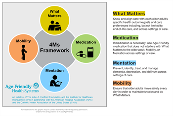 4Ms Framework - click to enlarge