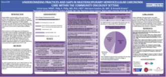 Understanding Practices and Gaps